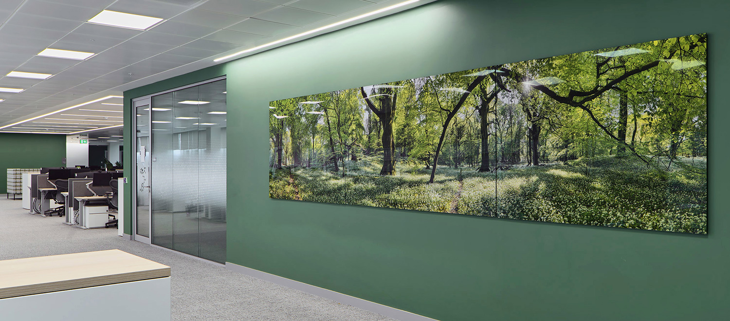 Fine art photography for corporate spaces