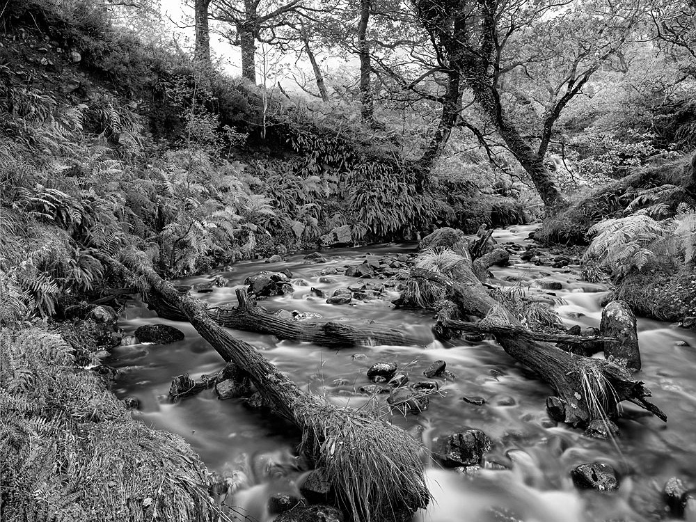 Erriff River County Mayo