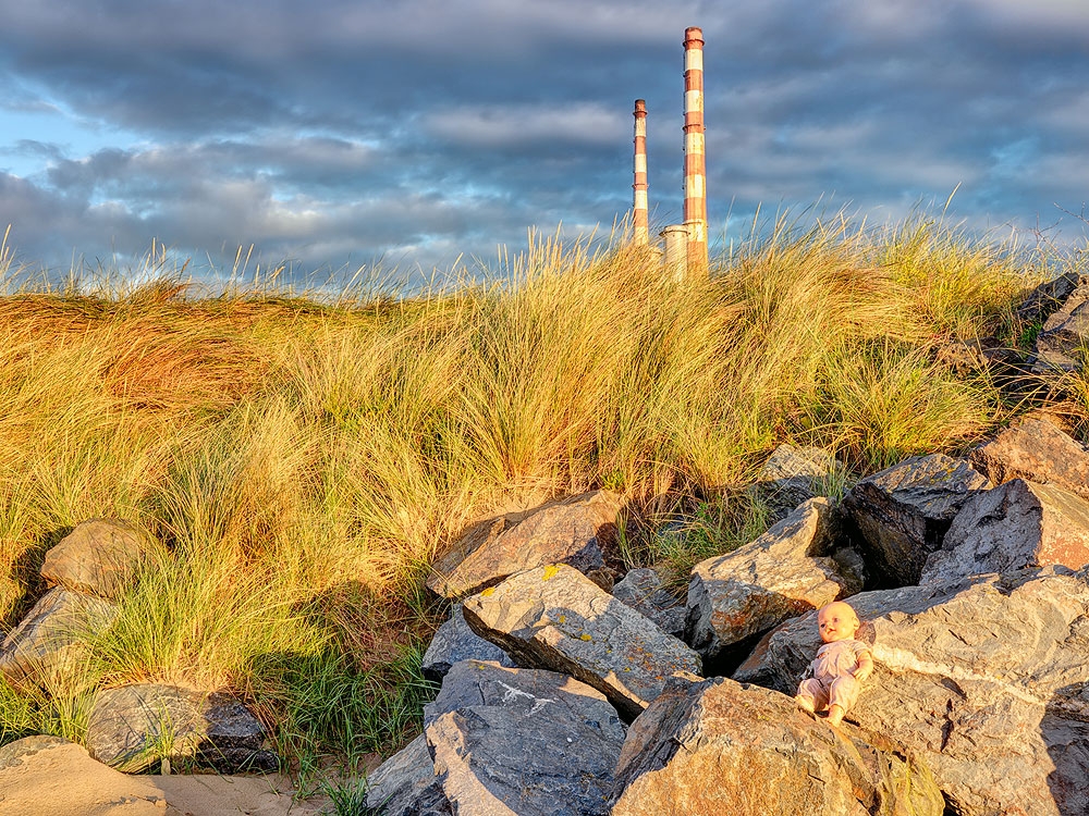 sandymount strand Pigeon House House