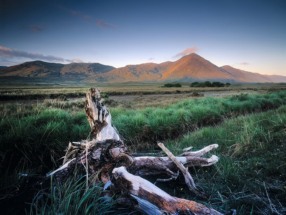 Irish Landscape photo Connemara Bogwood