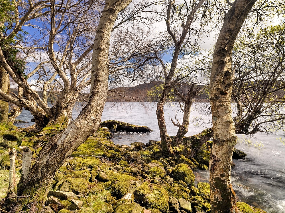 Caragh Lake County Kerry