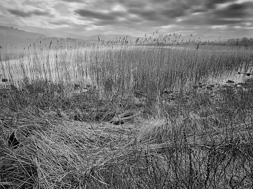 Mist on Carragh Lake photo of Ireland