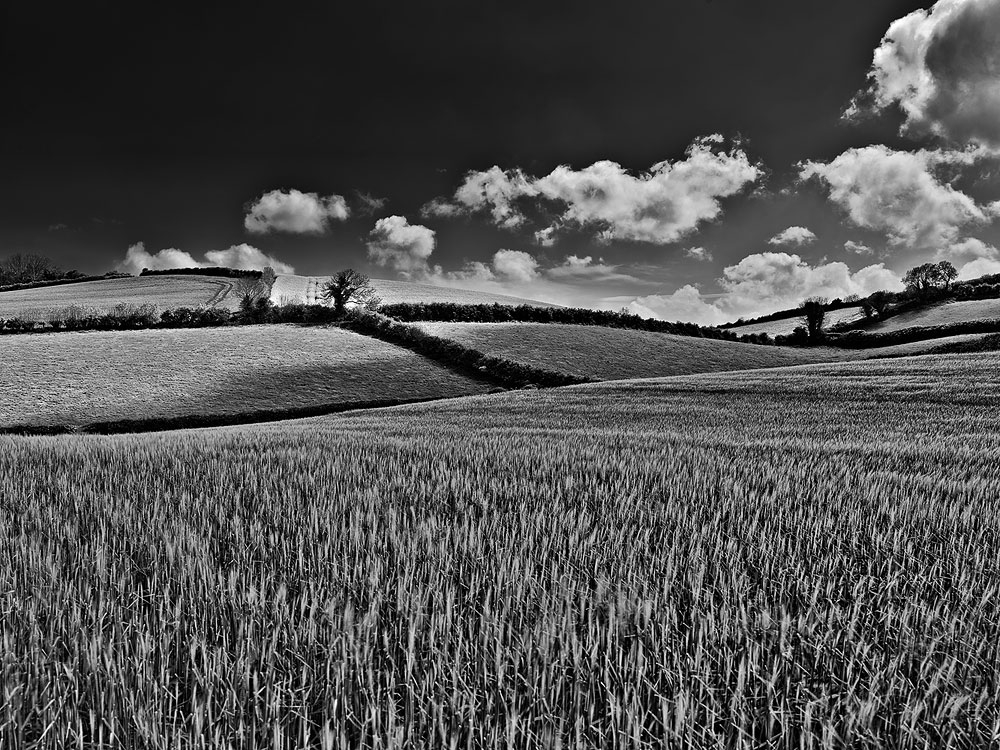 drumlins county down