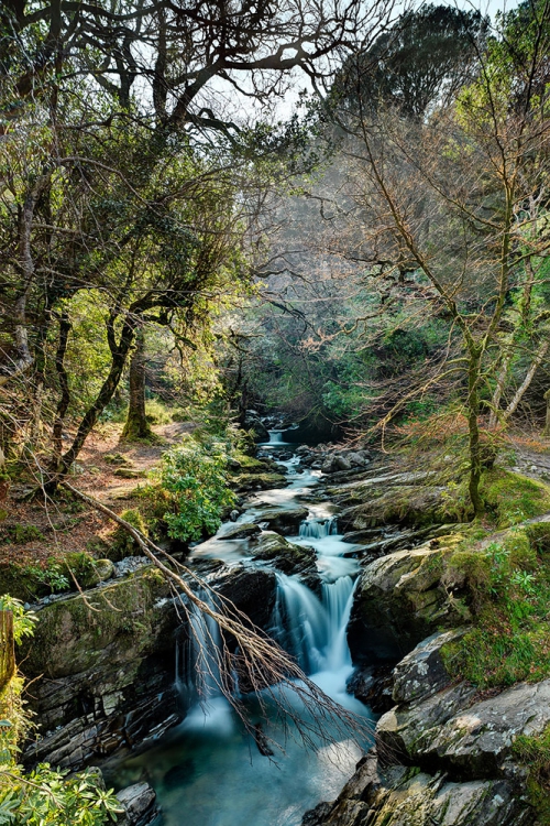 Killarney National Park waterfall forest photo