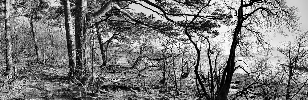 Lough Leane Killarney fine art landscape photo