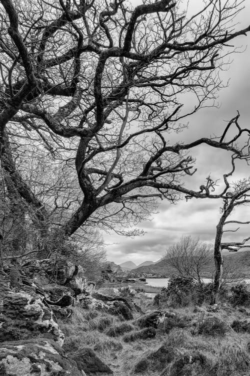 Upper Lake Killarney landscape photo kerry