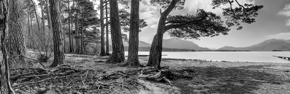 Lough Leane kerry black and white landscape photo