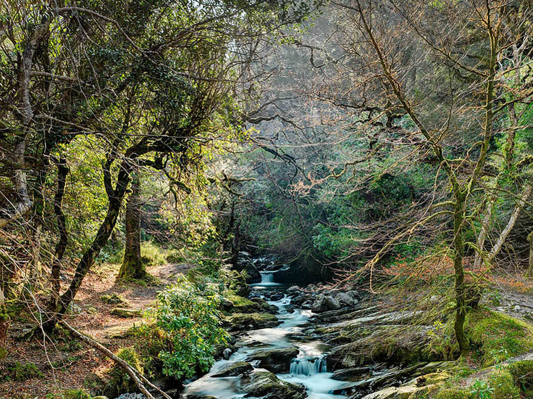 A waterfall The elegance of Killarney National Park.