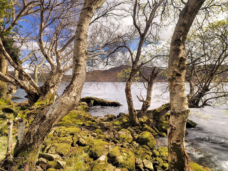 Caragh Lake, County Kerry