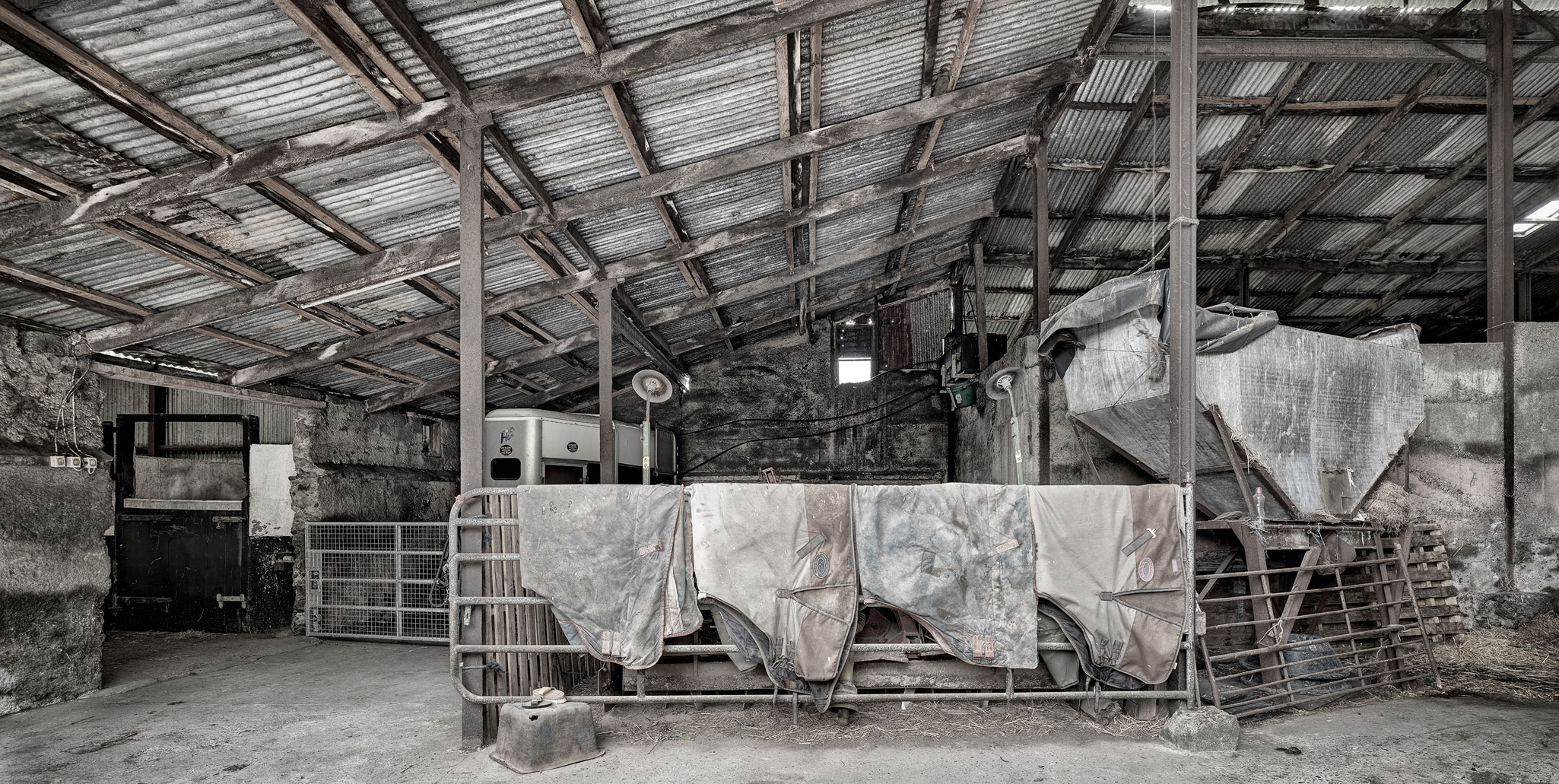 fine art industrial horse-Stud farm sheds
