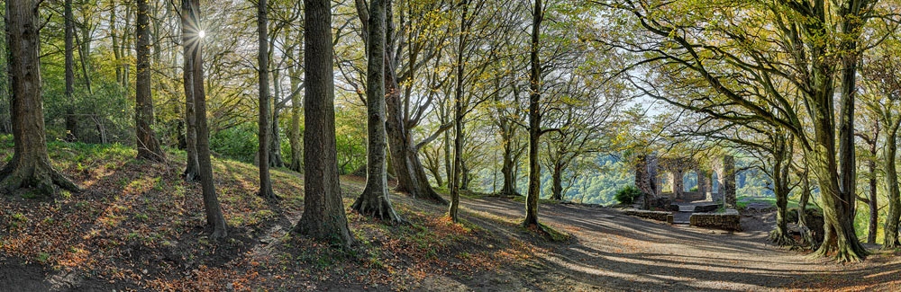 The Octagon, Glen of the Downs