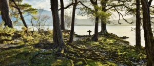 Ross island
