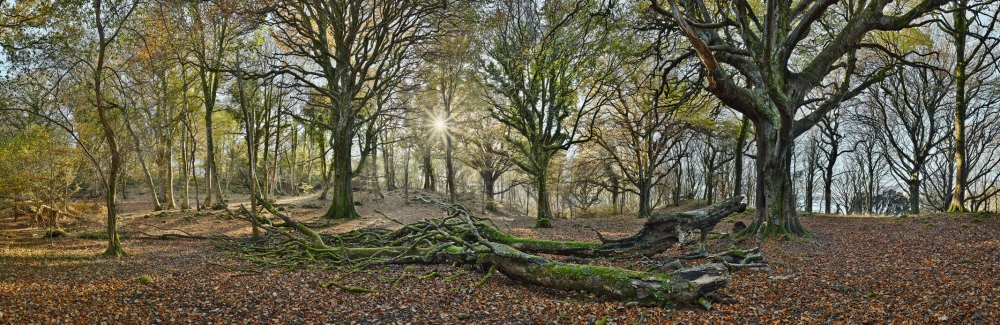 Ross Island in the Autumn panorama