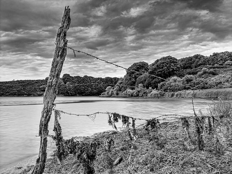Black and white photograph of an old fence post beside the River Slaney in County Carlow, with grasses, wire and flowing water.