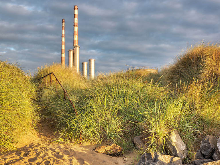 Fine art photograph of dune grass near the Pigeon House in Dublin Bay at sunrise, with sand, sea and distant industrial skyline.