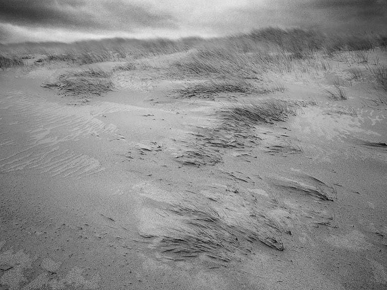 Black and white photograph of dune grass on the Inishowen Peninsula in County Donegal, Ireland