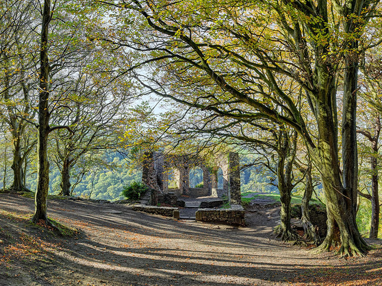 Autumn woodland around the Octagon in Glen of the Downs, County Wicklow, fine art forest photograph