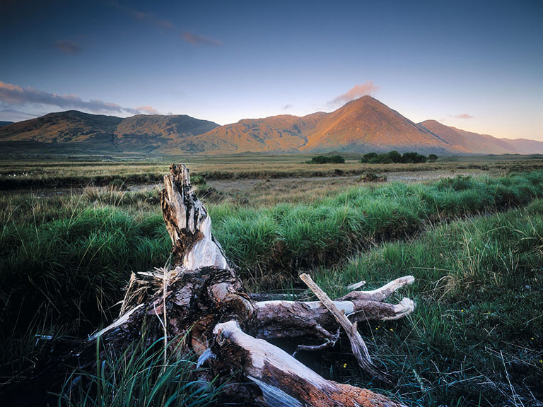 Connemara bogwood in the foreground with distant mountains and changing sky, Irish landscape photograph
