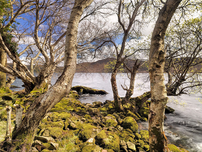 Caragh Lake in County Kerry with still water, surrounding hills and lush vegetation, tranquil Irish landscape