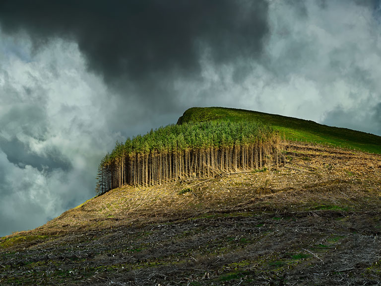 Fine art photograph of a small stand of trees on a hill in rural Sligo lit by a shaft of light against a darker landscape.