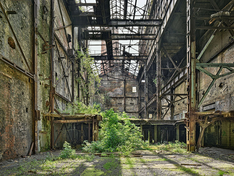 Fine art photograph of the old boiler house at Pigeon House in Dublin, where plants are reclaiming the industrial ruin.