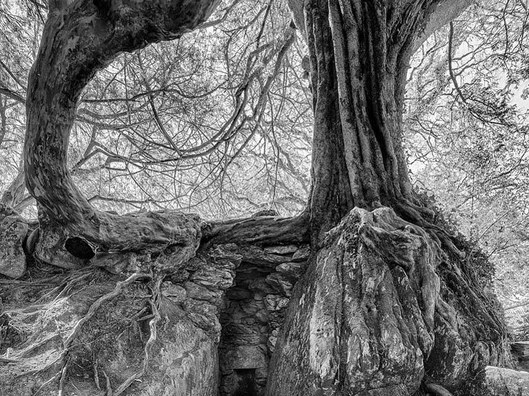 Fine art photograph of the Witch's Kitchen in the gardens at Blarney Castle, County Cork