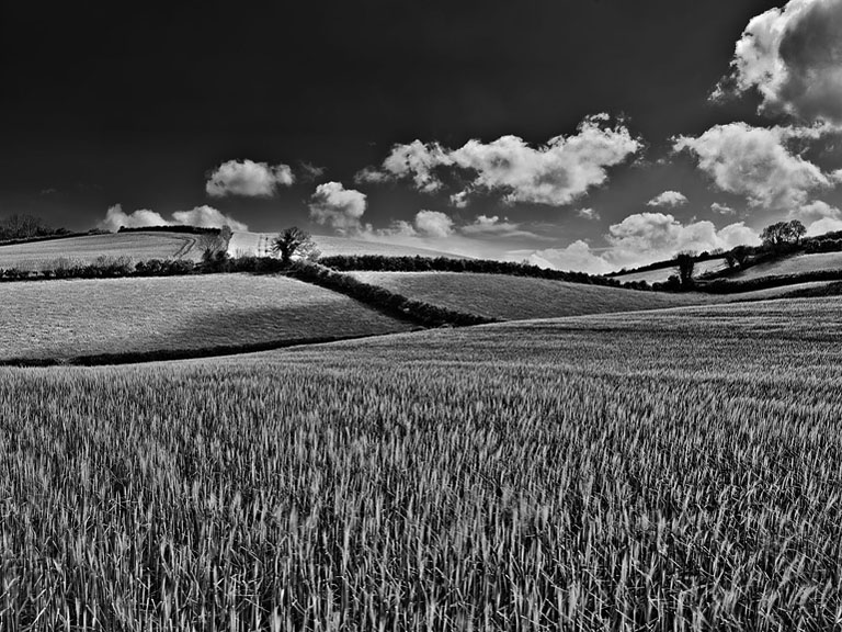 Fine art landscape of a sunlit meadow and rolling drumlin hills in County Down, Northern Ireland