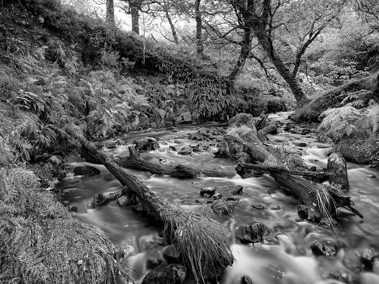 Fine art landscape photograph of the Erriff River flowing through woodland in County Mayo