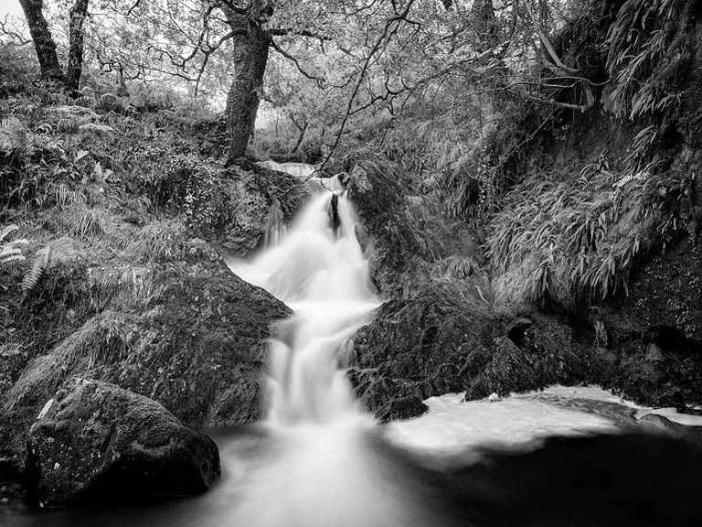 Black and white photograph of the Erriff River in County Mayo, with a waterfall, rocks and surrounding woodland.