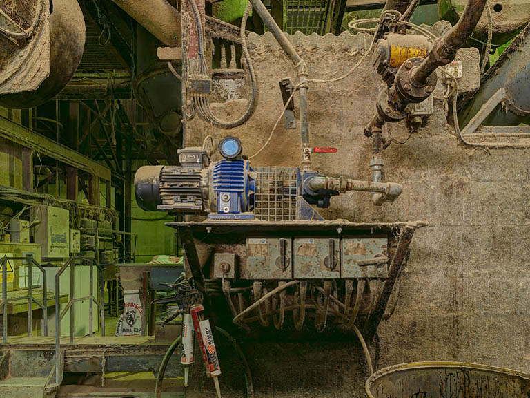 Sunlight filtering through trees in Lough Key Forest Park, highlighting trunks, foliage and forest floor.