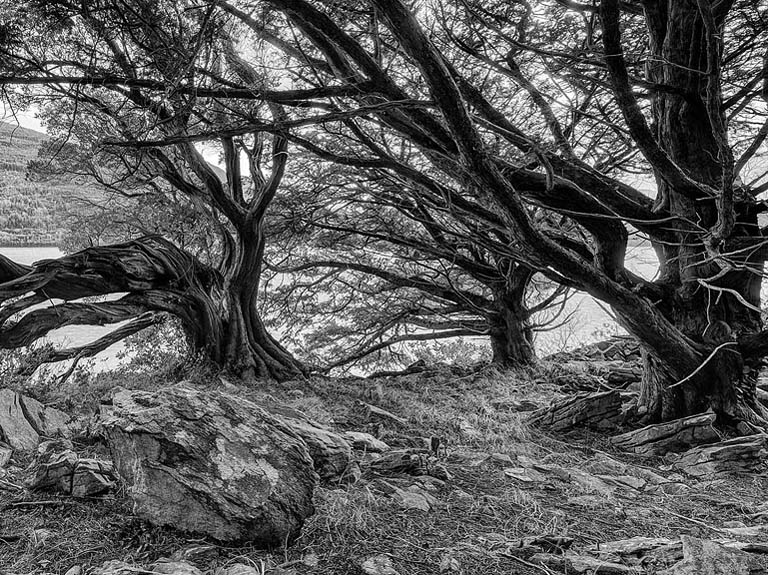 Kinbane Castle ruins on a headland in County Antrim, overlooking the sea and rocky shore.